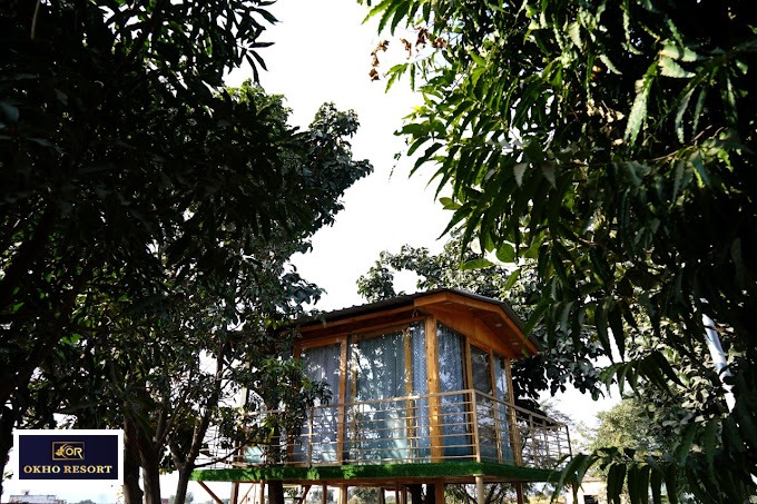 WhatsApp Image 2025-05-13 at 4.56.25 PM